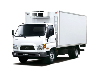 Коврики в салон (2 ряда) Hyundai HD78 2015
