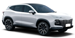 Коврики в салон (2 ряда) Jetour Dashing 2022-н.в.