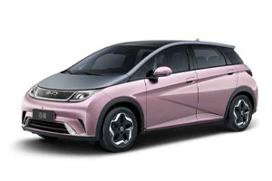BYD Dolphin 2021-н.в.